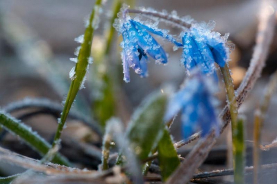 Бүгінгі ауа райы қандай?