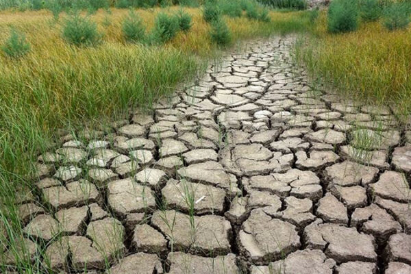 2020 жыл адамзатты жаһандық жылынуға жақындатты