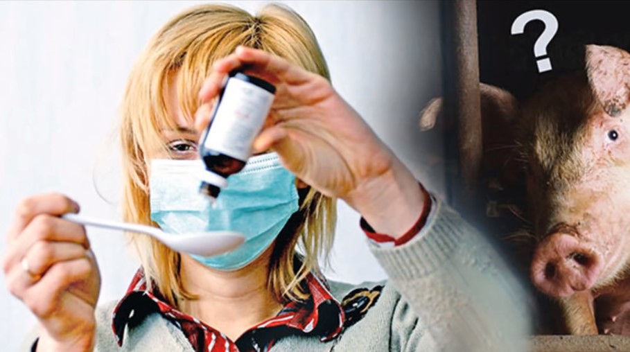 «Коронавирустан соң әлемге төнер үлкен қауіп бар» - көріпкел (видео)