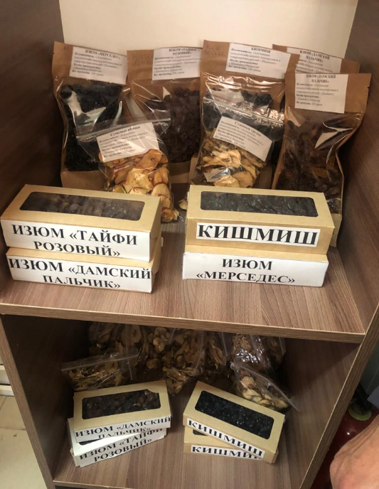 Отандық өнім: Шымкентте экологиялық таза кептірілген жемістер дайындау технологиясы енгізілуде