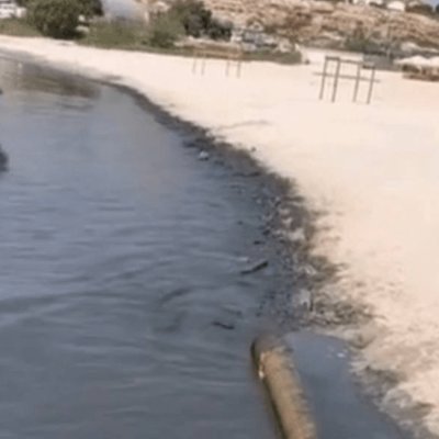 Экология министрлігі Каспийдегі судың қара түске боялу себептерін түсіндірді