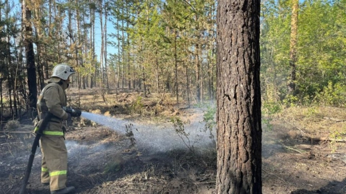 Төтенше жағдайлар министрлігі елде техника жетпейтінін мойындады