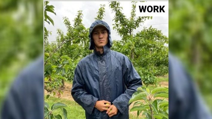 «Алма теріп, миллион теңге аламын»: Көкшетаулық жігіт Англиядағы жұмысы жайлы