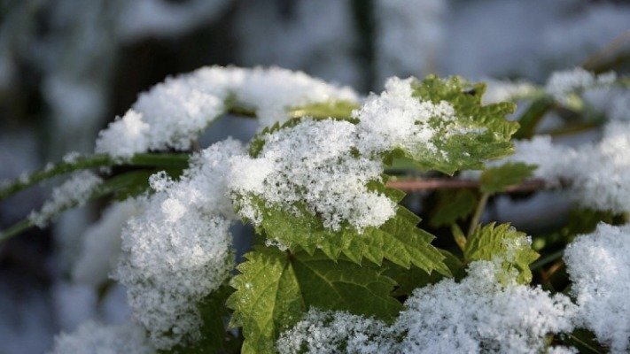 Көктайғақ, қар, аяз: 2 желтоқсанда ауа райы қандай болады?