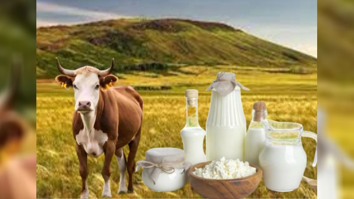 Етке тәуелділік азая ма? Елдегі мал шаруашылығы қалай дамуда?