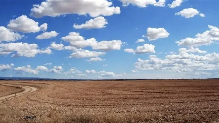 Жетісу өңірінде 170 миллионның жері мемлекетке қайтарылды