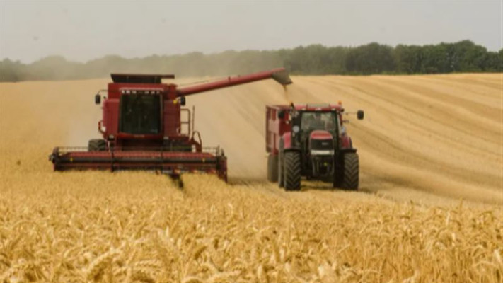 Қазақстанда 18,5 млн тоннадан астам астық бастырылды