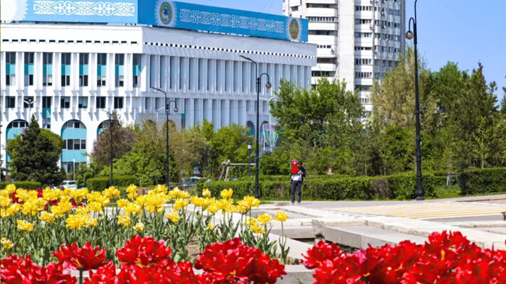 Алматыны гүлмен көмкеруге 2,6 млн теңге бөлінді