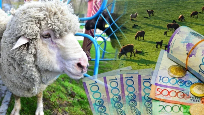 Құрбан айт: Қазақстанда қой бағасы қанша